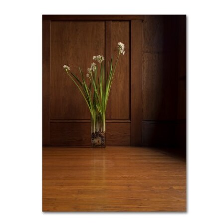 Trademark Fine Art Geoffrey Ansel Agrons 'Deracination Redux' Canvas Art, 18x24 ALI16813-C1824GG